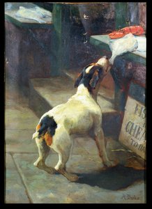 Ryby są dziś tanie autorstwa Alfred Duke